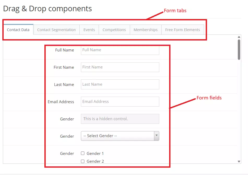 Form Tabs and Form Fields